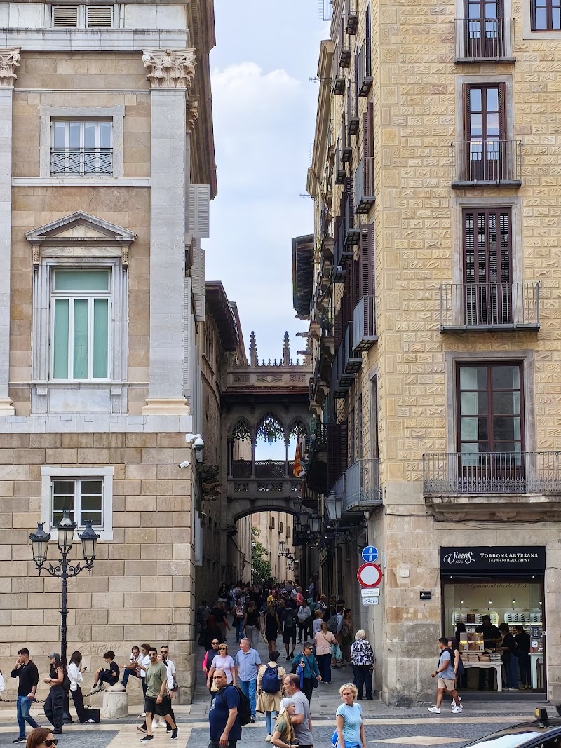 Pont del Bisbe - Pont del Bisbe Carrer del Bisbe, Ciutat Vella, 08002 Barcelona, Spain
