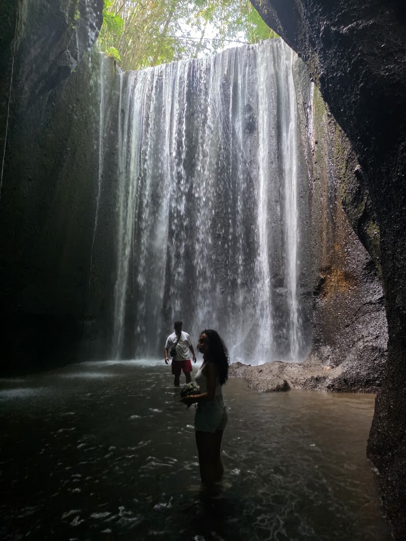 Bali Driver & Tour Guide by Dewa - Bali Driver & Tour Guide by Dewa, Jl. Raya Gentong, Tegallalang, Kecamatan Ubud, Kabupaten Gianyar, Bali 80561, Indonesia