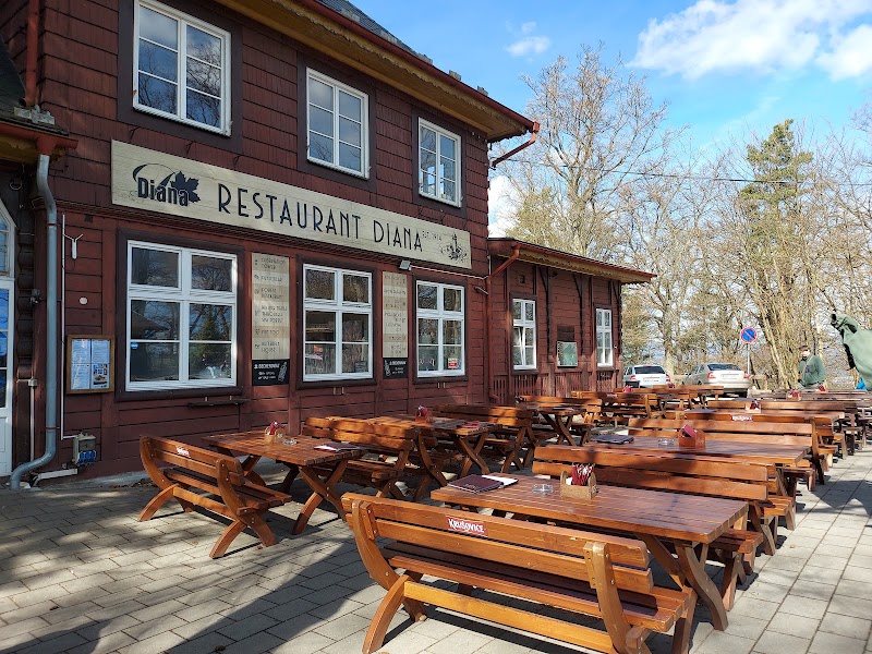 Restaurant Diana - Restaurant Diana, Vrch přátelství 5/1, 360 01 Karlovy Vary-Karlovy Vary 1, Czechia