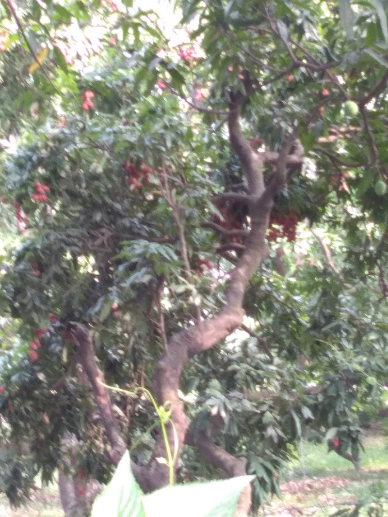 Ramnagar Kashipur - Ramnagar Kashipur, Uttarakhand 244713, India