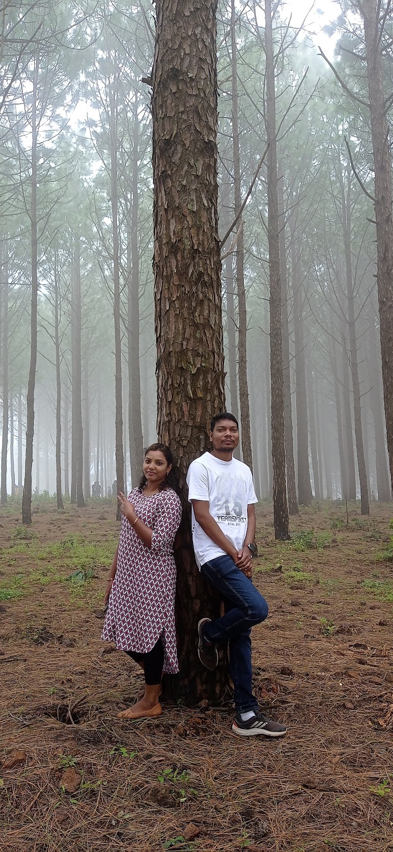 Koel View Point - Koel View Point Netarhat, Jharkhand 835218, India