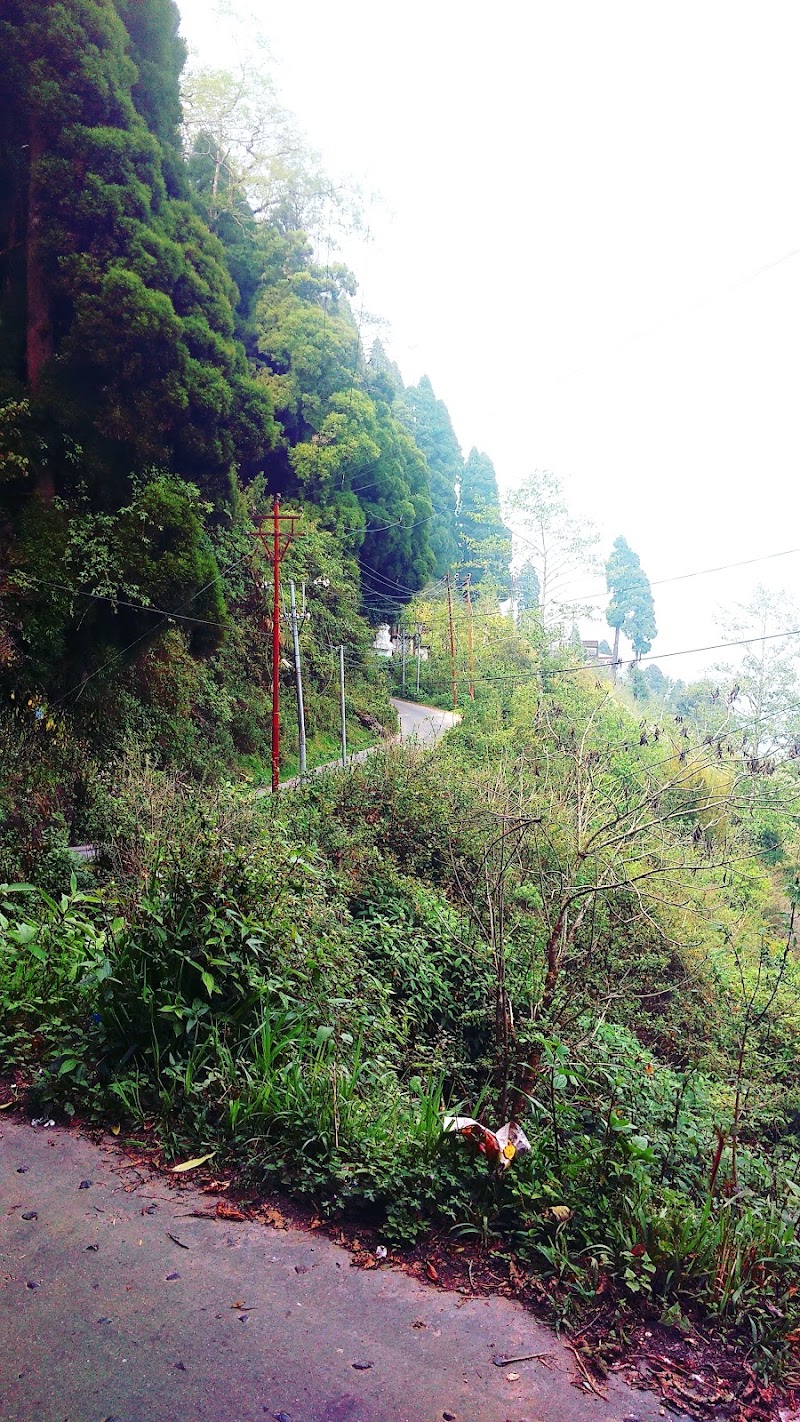 Jalapahar - Jalapahar, Darjeeling, West Bengal, India