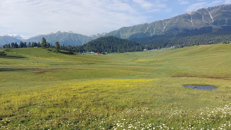 Gulmarg Wildlife Sanctuary