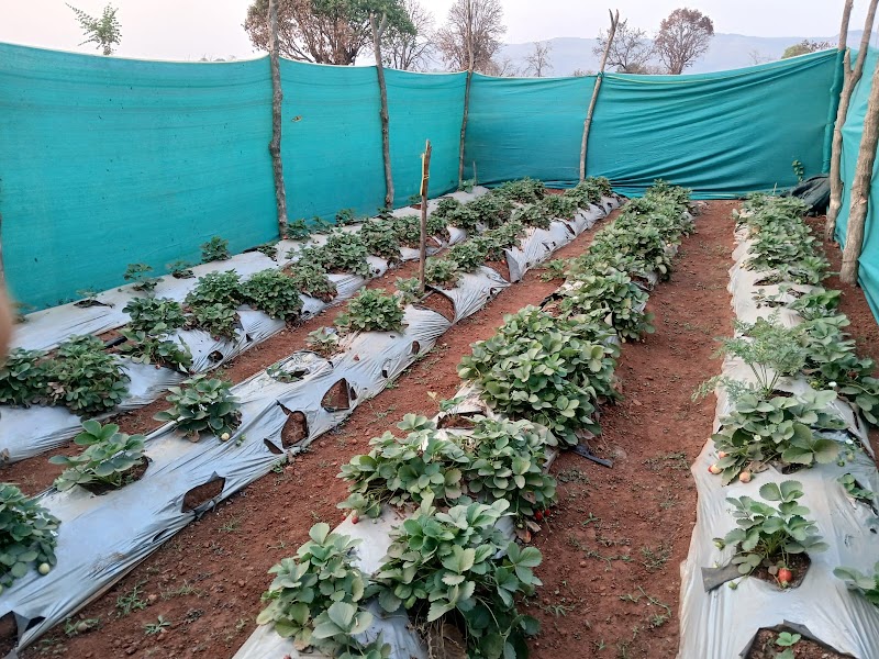Eden Villa - Eden Villa WG2V+9C, Asutane, Inglun, Maharashtra 412106, India