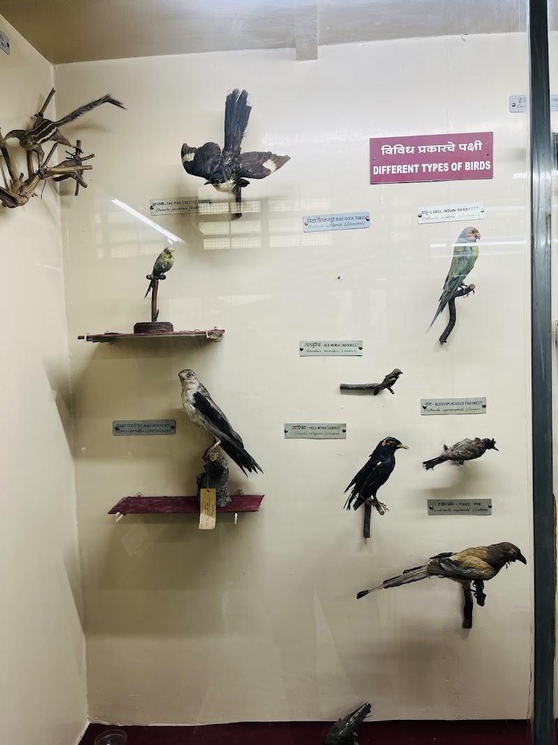 Mahatma Phule Museum - Mahatma Phule Museum 1204/10, Ghole Rd, Shivajinagar, Pune, Maharashtra 411004, India