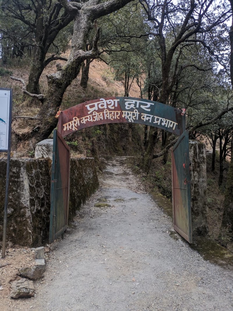 Mussoorie treks and hikes- Camping and trekking in Mussoorie - Mussoorie treks and hikes- Camping and trekking in Mussoorie Near mussoorie food plaza, hathipaon, Mussorie, pincode 248179, Khanij Nagar, Mussoorie, Uttarakhand 248179, India