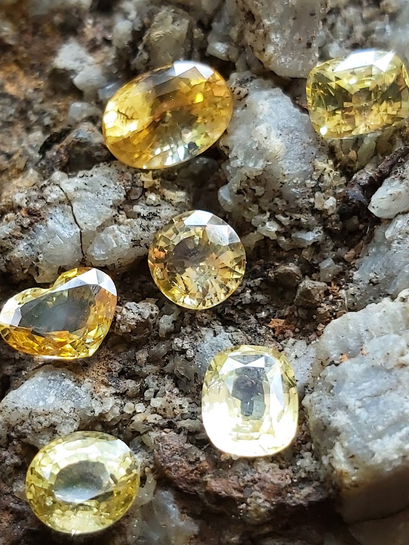 GEMLANKA ART GALLERY - Karandana Gems & Tours Pvt Ltd - GEMLANKA ART GALLERY - Karandana Gems & Tours Pvt Ltd 35, 1 Elibank Rd, Colombo 00500, Sri Lanka