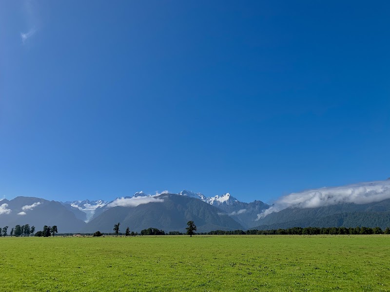 Fox Glacier - Fox Glacier, West Coast Region 7886, New Zealand