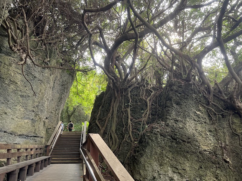 Wild Boar Trench Trail