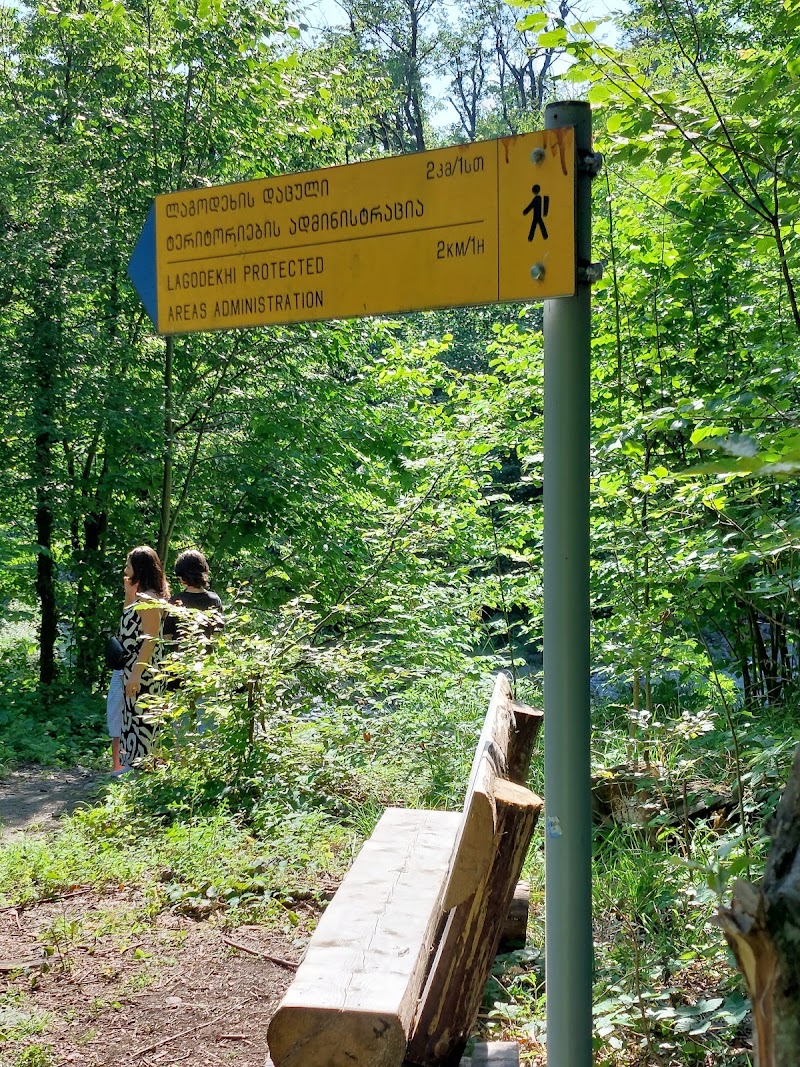 Lagodekhi's Managed Reserve - Lagodekhi's Managed Reserve, 197 Vashlovani St, Lagodekhi, Georgia