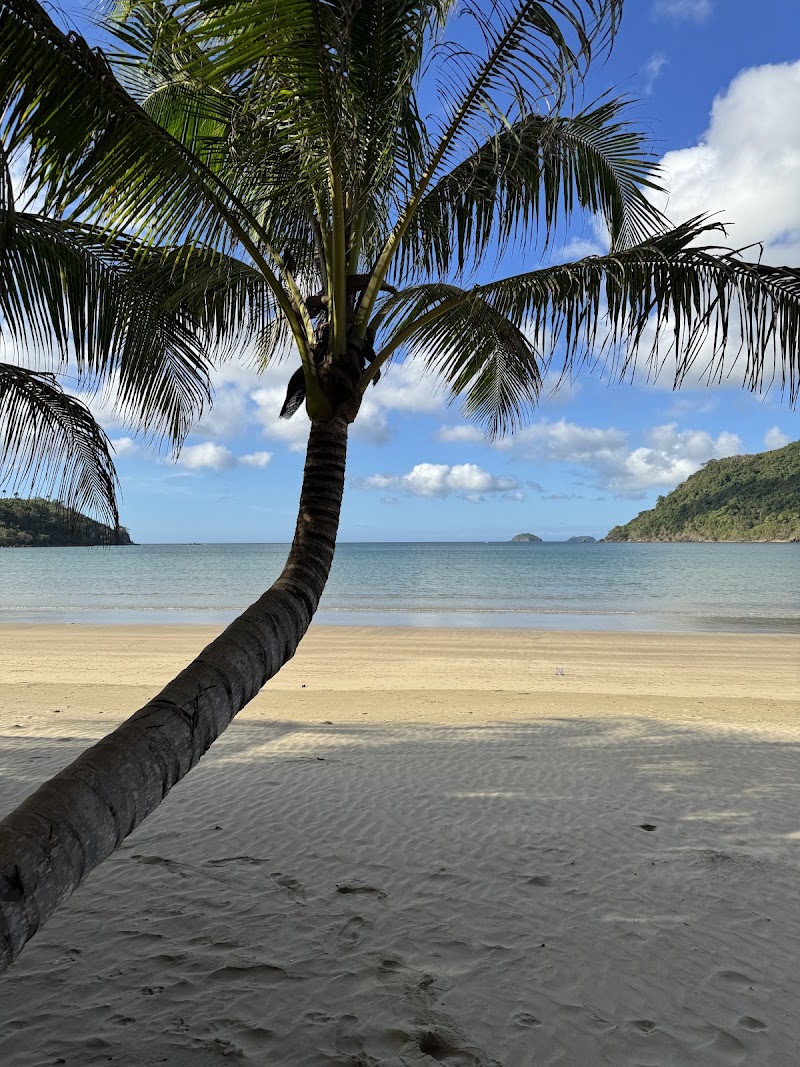 Bucana Beach - Bucana Beach, 8FJ2+VFP, Unnamed Road, El Nido, Palawan, Philippines