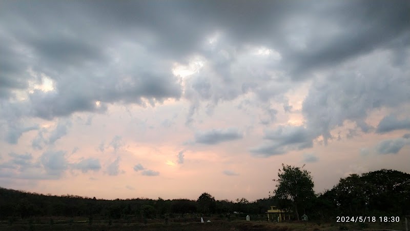 MULLEGUDA PIG FARM - MULLEGUDA PIG FARM, J6PQ+PQ, Mullegura, Chhattisgarh 491227, India