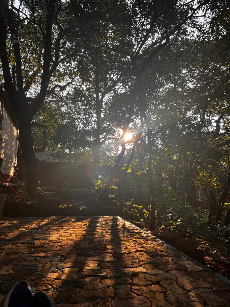 Mystique Forest Villa - Mystique Forest Villa, Pratapgadh Road, Mahabaleshwar, Maharashtra 412806, India