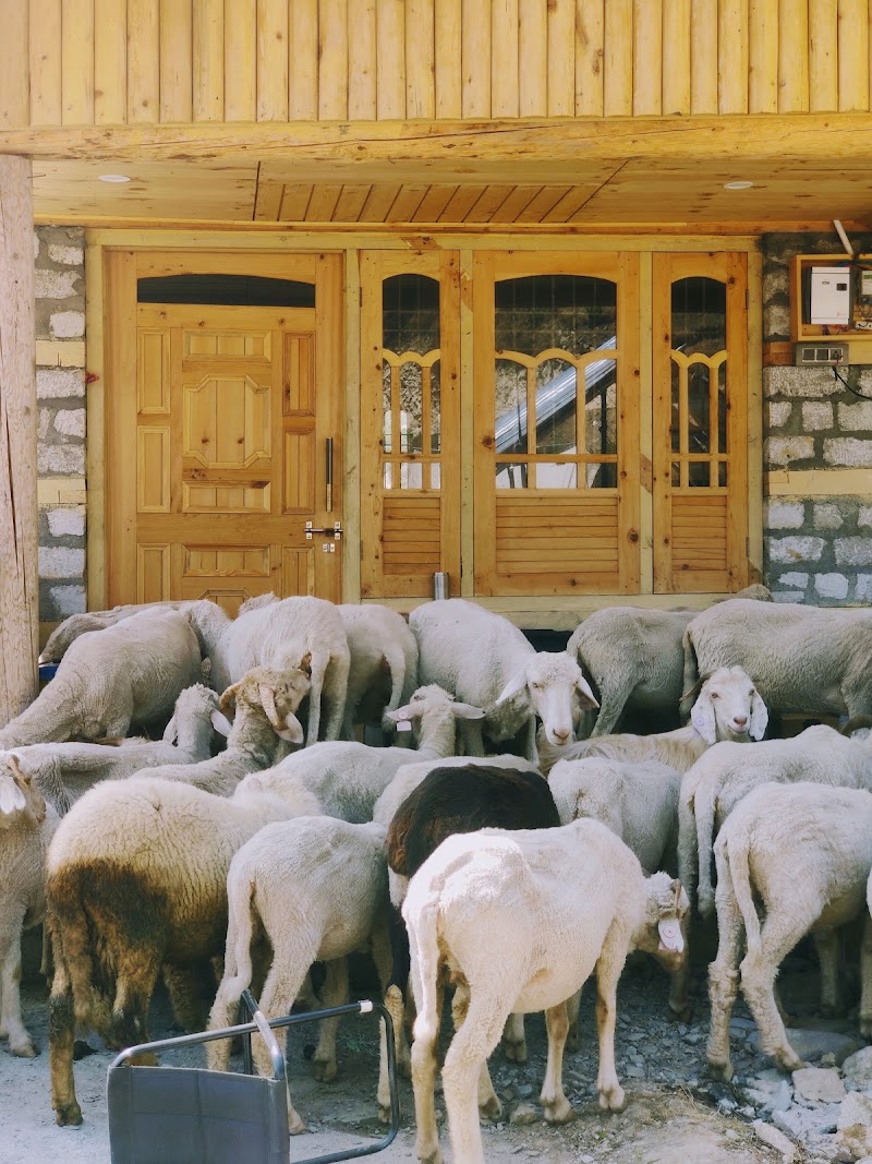 Himtrek Stays, Rajgundha