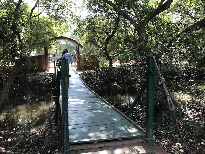 Coringa Wildlife Sanctuary - Coringa Wildlife Sanctuary, R7CX+F8V, Korangi, Kakinada, Andhra Pradesh 533461, India