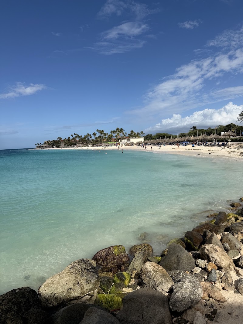 Beach Bar - Beach Bar, J.E. Irausquin Blvd 41, Oranjestad, Aruba