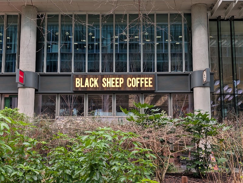Black Sheep Coffee - Paddington - Black Sheep Coffee - Paddington Paddington Central, 2 Kingdom St, London W2 6BD, UK