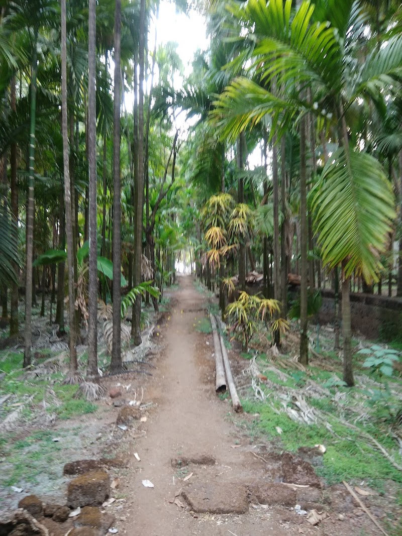 Snehankur Homestay - Snehankur Homestay, F5WP+W8J, MH SH4, Guhagar, Maharashtra 415703, India