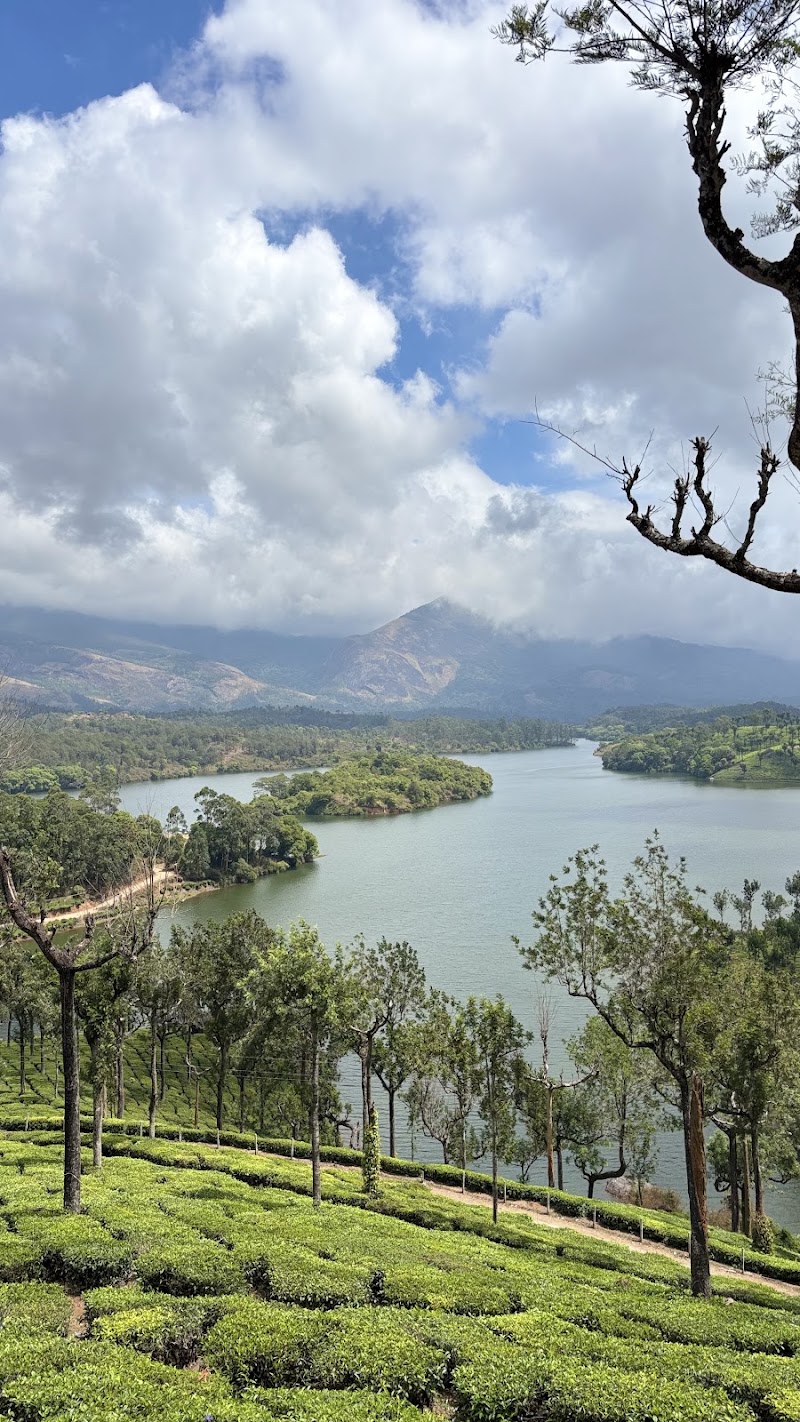 Munnar travel trip - Munnar travel trip near Eastend, Colony road, Nullatanni, Munnar, Kerala 685612, India