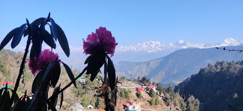 GMVN Guptkashi - GMVN Guptkashi, Kedarnath Rd, Guptkashi, Uttarakhand 246439, India