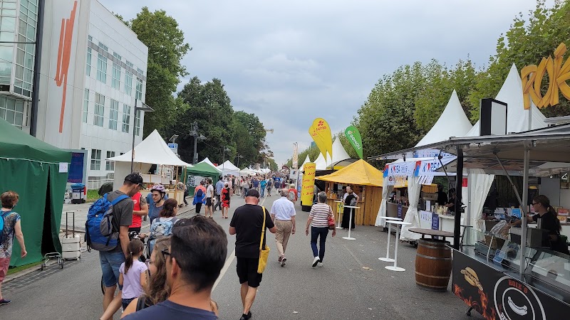 Schaumainkai - Schaumainkai, Frankfurt am Main-Frankfurt-Süd, Germany