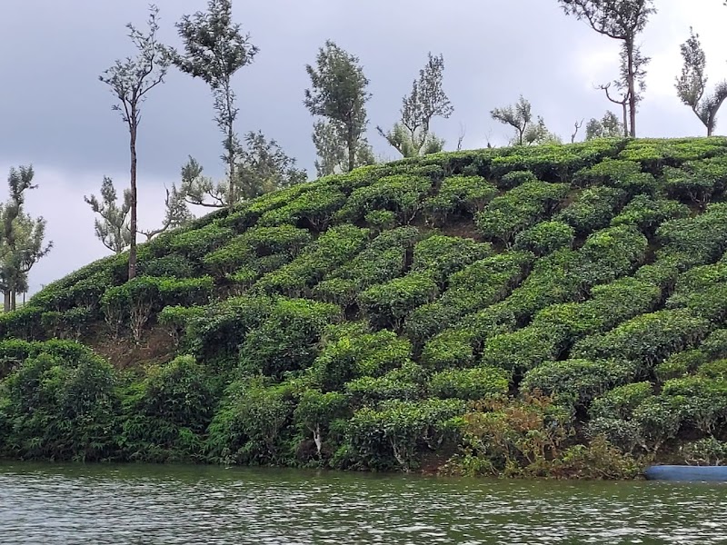Sunmount View Hotel - Sunmount View Hotel, 2nd Mile, Pallivasal Estate, Munnar, Kerala 685565, India