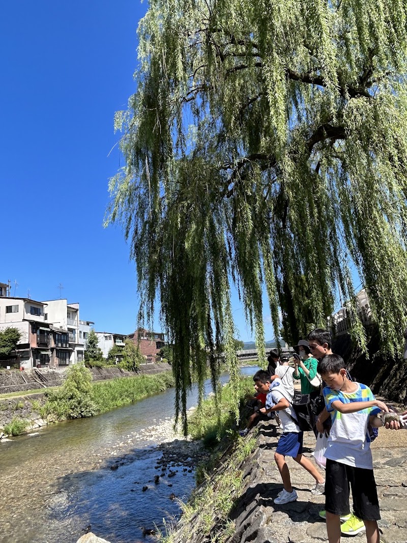 Miyagawa River - Miyagawa River, 1 Chome Oshinmachi, Takayama, Gifu 506-0851, Japan