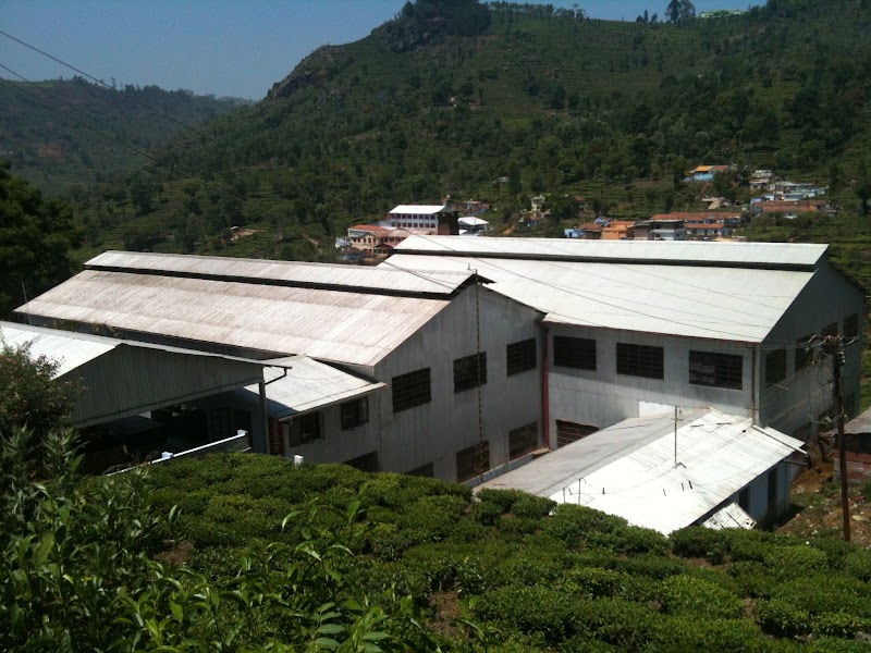 Darmona Tea Factory - Darmona Tea Factory, Waterfalls Road, Kotagiri, Tamil Nadu 643201, India
