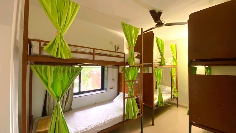 Jungle by sturmfrei Vagator | Poolside Boutique Stays - Jungle by sturmfrei Vagator | Poolside Boutique Stays Chapora Road, beside IBIS Styles, Chapora, Vagator, Goa 403509, India