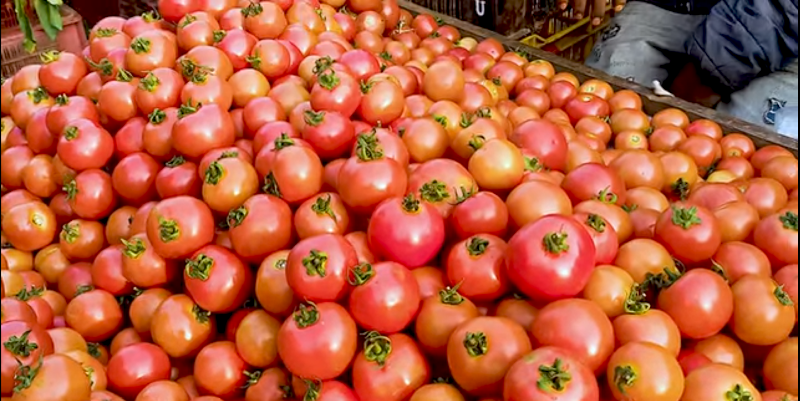Grain Market - Grain Market, Subzi Mandi, Sector 26 East, Chandigarh, 160019, India