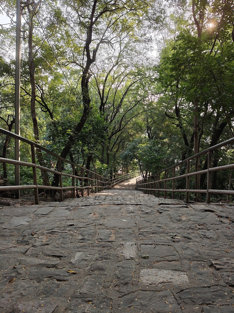 Gopachal Jain Parvat - Gopachal Jain Parvat Phool Bagh, Lashkar, Gwalior, Madhya Pradesh 474002, India