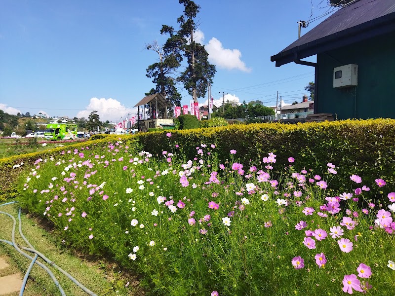 Nuwara Eliya - Nuwara Eliya Nuwara Eliya, Sri Lanka