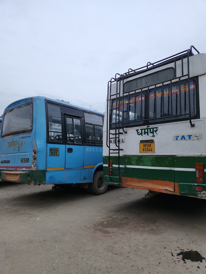 Dharampur - Bus Stand S - Dharampur - Bus Stand S, Didnu Road, Dharampur, Himachal Pradesh 175040, India