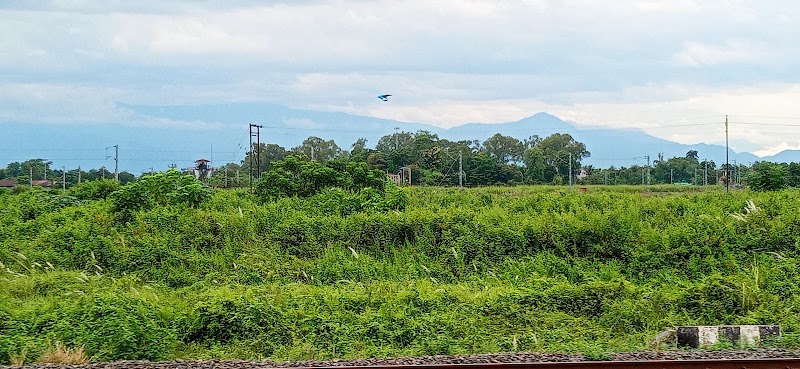 NJP - Siliguri Section - NJP - Siliguri Section MFM3+RR, PCRA Colony, Siliguri, West Bengal 734007, India