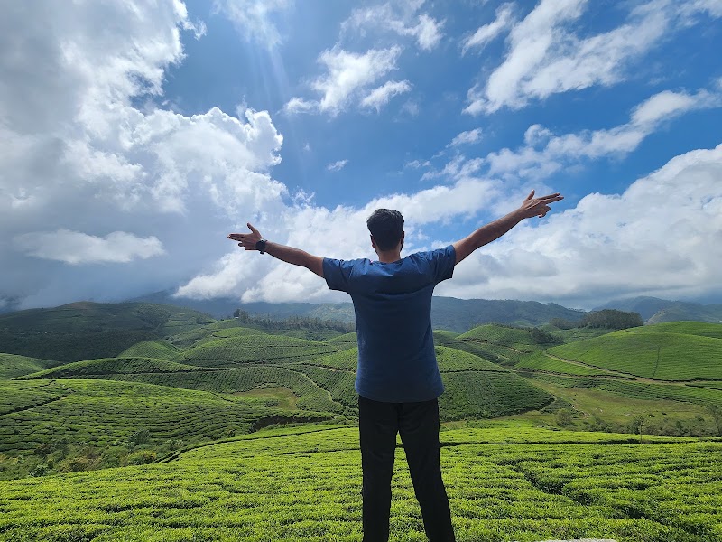 Tea plantation View point - Tea plantation View point 33F4+GQ, Kannan Devan Hills, Kerala 685612, India
