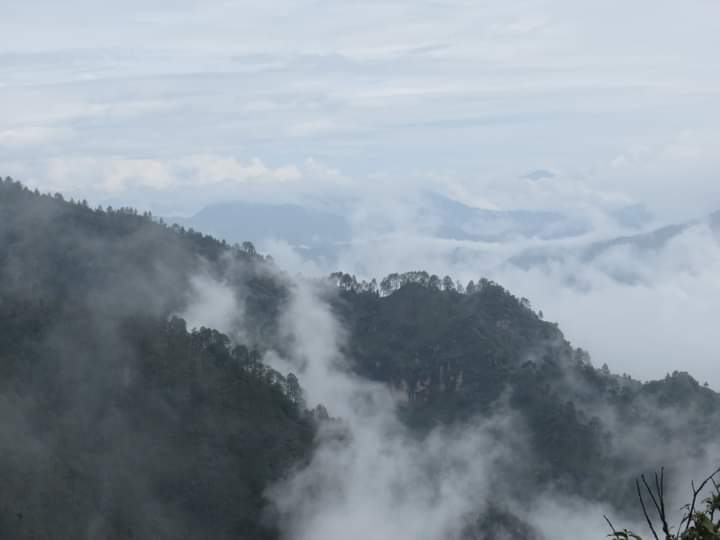 Jabarkhet Nature Reserve, Mussorie - Jabarkhet Nature Reserve, Mussorie Nature Reserve, Jabarkhet, Landour, Mussoorie, Uttarakhand 248179, India