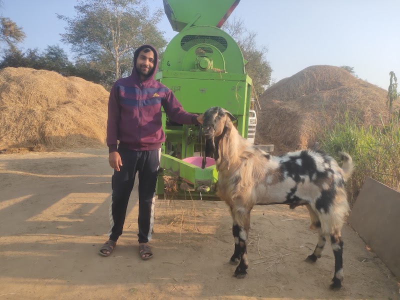 J. N. Sahu krishi farm