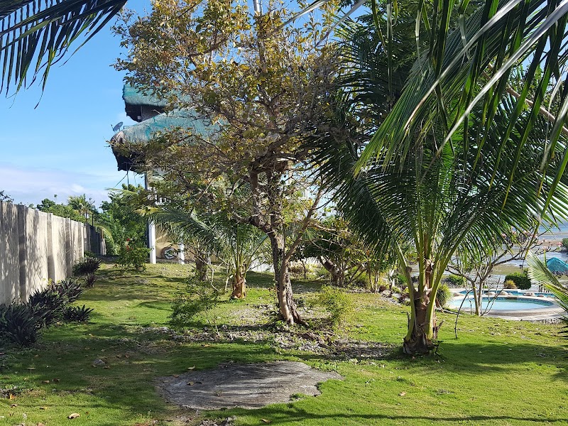 Moalboal Beach Resort - Moalboal Beach Resort Whitebeach, Moalboal, 6032 Cebu, Philippines