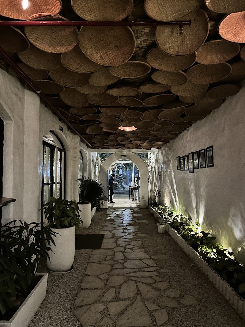 Olive Café & Bar - Olive Café & Bar SCO 3, Ground floor, Back entry, Sector 26, Chandigarh, 160019, India