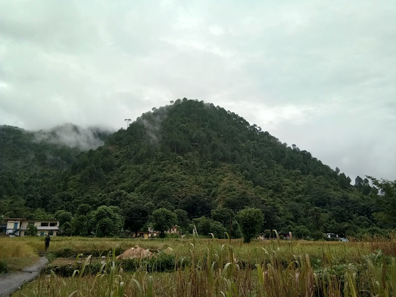 Nandaprayāg - Nandaprayāg, Uttarakhand 246449