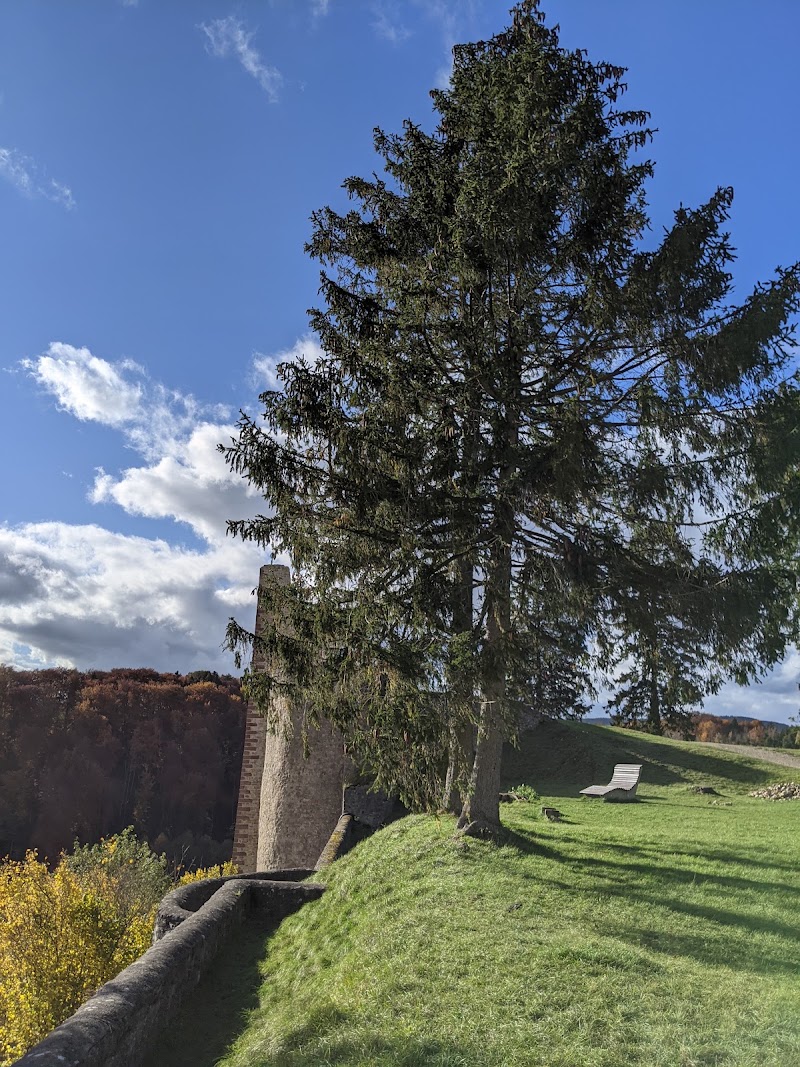 Schönecken Castle - Schönecken Castle, 54614 Schönecken, Germany