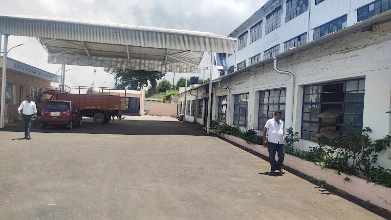 Hadathorai Tea Factory - Hadathorai Tea Factory, Kerben Road, Kotagiri, Tamil Nadu 643214, India