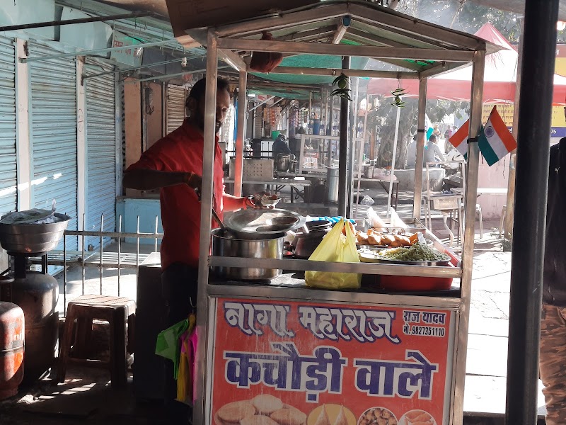 Naga Maharaj Kachori Waale - Naga Maharaj Kachori Waale 6JPQ+Q23, SH 2, Chottapara, Police Colony, Janta Colony, Raipur, Chhattisgarh 492001, India