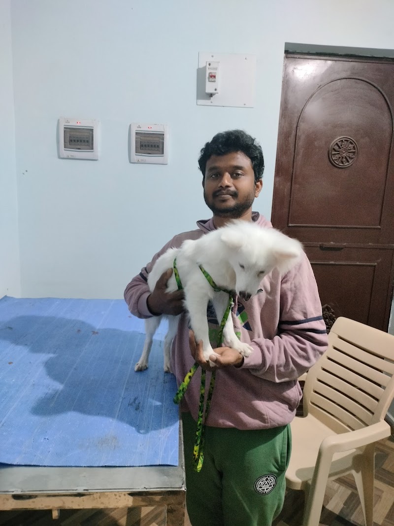 SN Pet Clinic - SN Pet Clinic, Ward No. 18, Ambedkar chowk, Sailashree Vihar, Bargarh, Dang, Odisha 768038, India