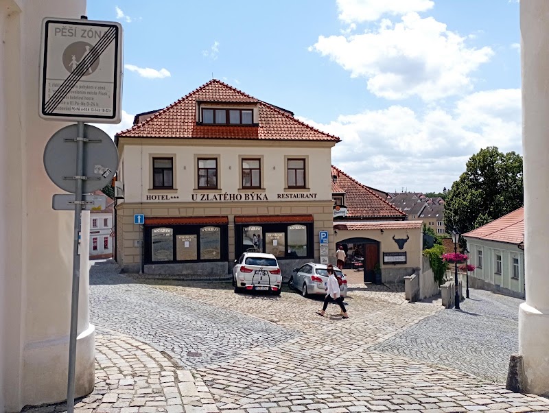 Restaurant U Zlatého býka - Restaurant U Zlatého býka 6, Píseckého 135, 397 01 Písek-Písek 1, Czechia