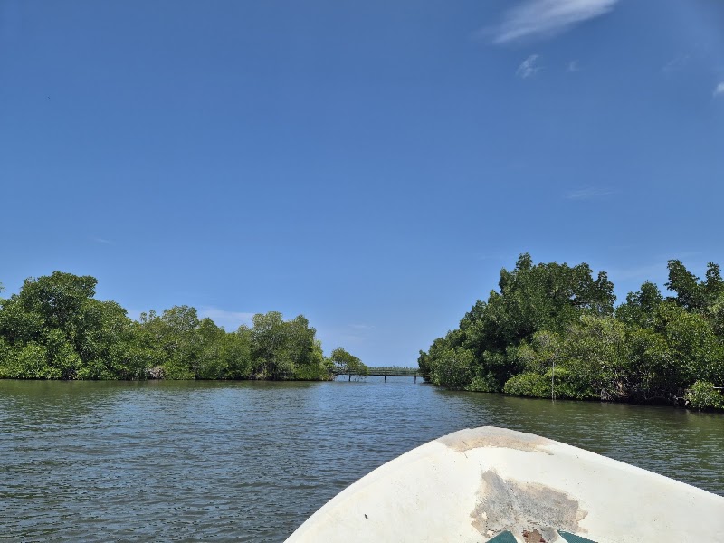 Madu Queen Boat Safari | Madu River - Madu Queen Boat Safari | Madu River, Nandana Gardens, Balapitiya 80550, Sri Lanka