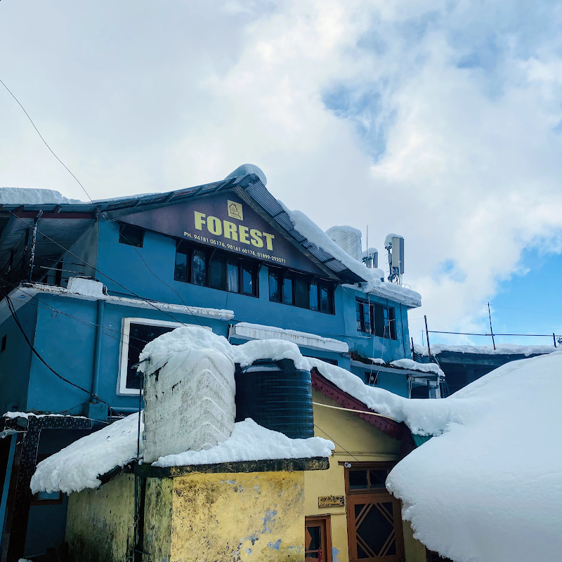 Hotel forest dalhousie - Hotel forest dalhousie FOREST LODGE, GUEST HOUSE, BUS STAND, Moti Tiba, Dalhousie, Himachal Pradesh 176304, India