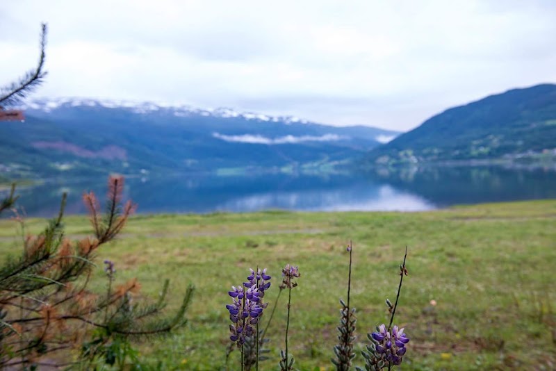 Voss Municipality - Voss Municipality, Norway