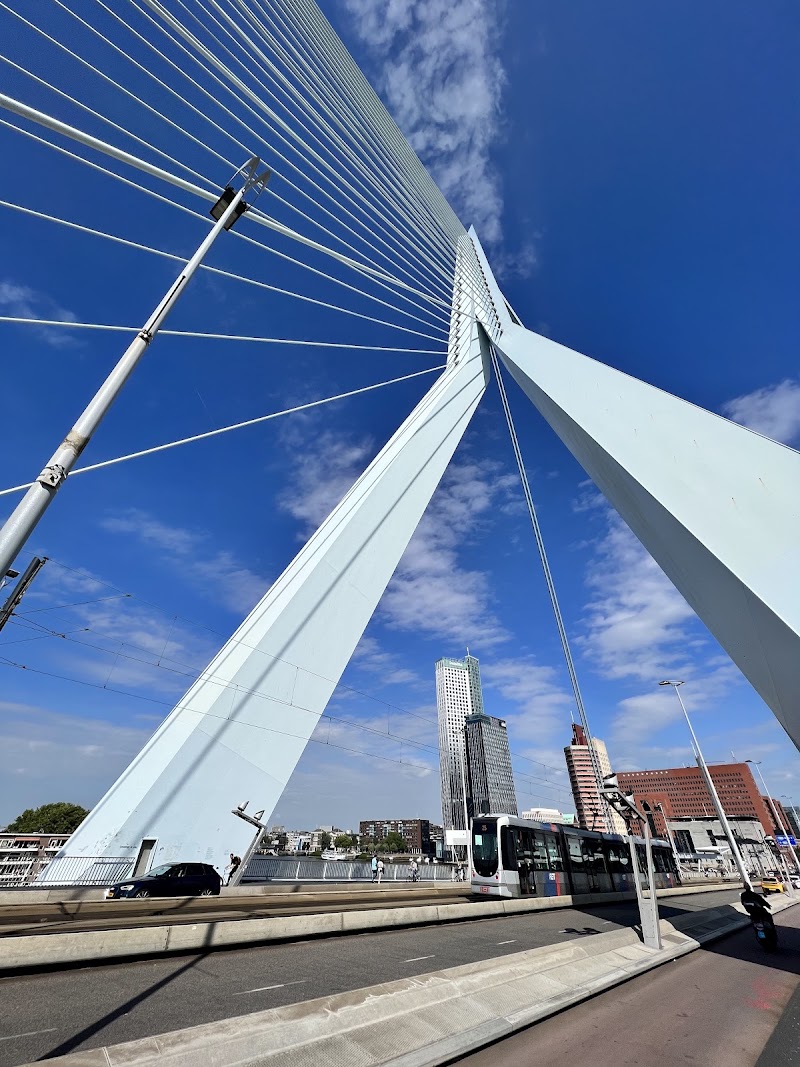 Erasmusbrug - Erasmusbrug Erasmusbrug, 3011 BN Rotterdam, Netherlands