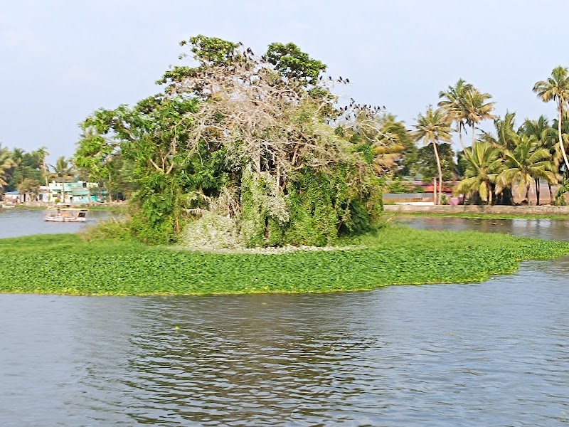 Tourism Alappy - Tourism Alappy Kuttanad, Punnamada, Mullakkal, Alappuzha, Mullakkal, Kerala 688006, India